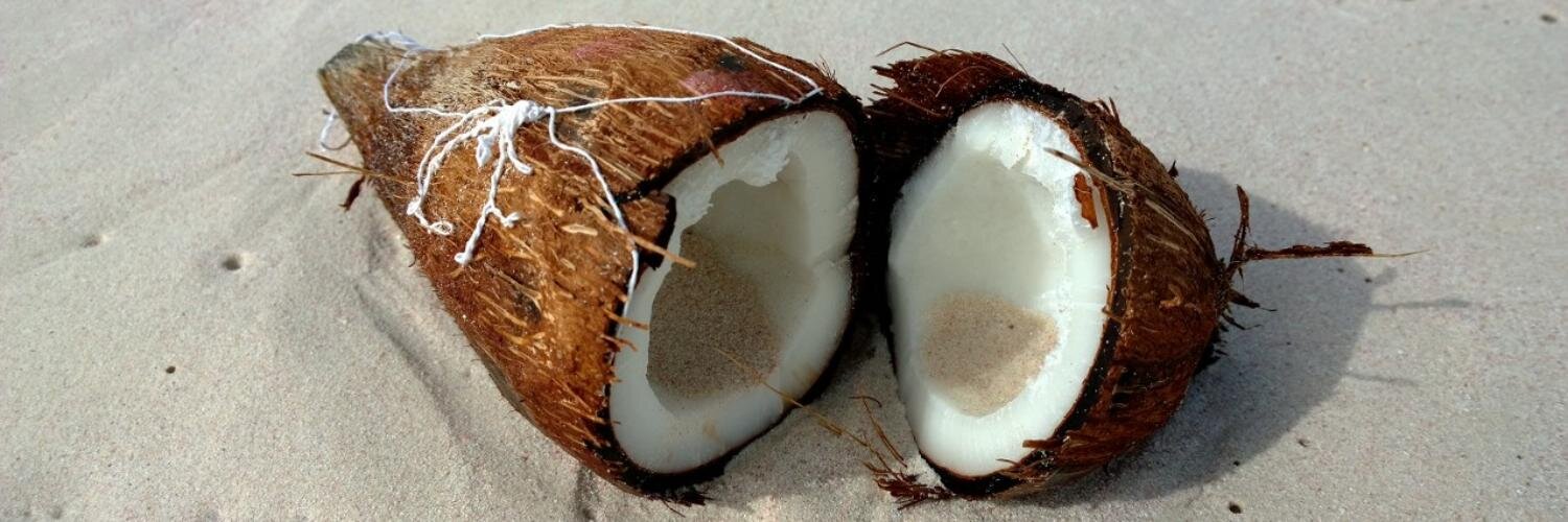 Olli Mahlamäki banner