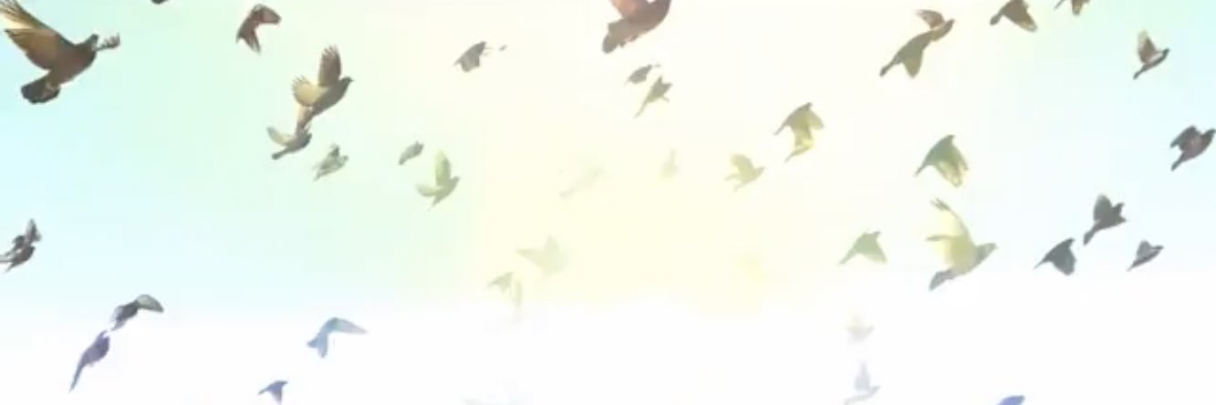 いとう banner