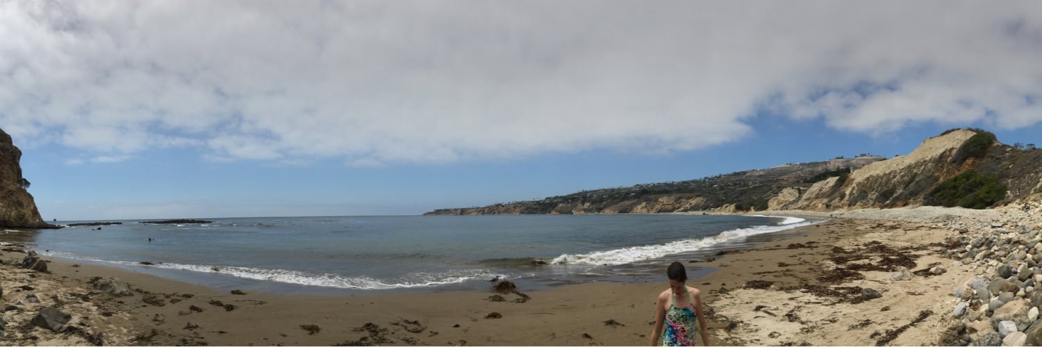 Jason Rochlin banner