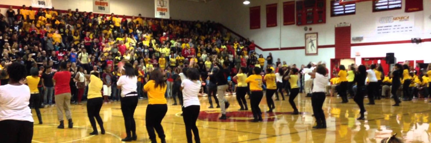 Seneca High School banner