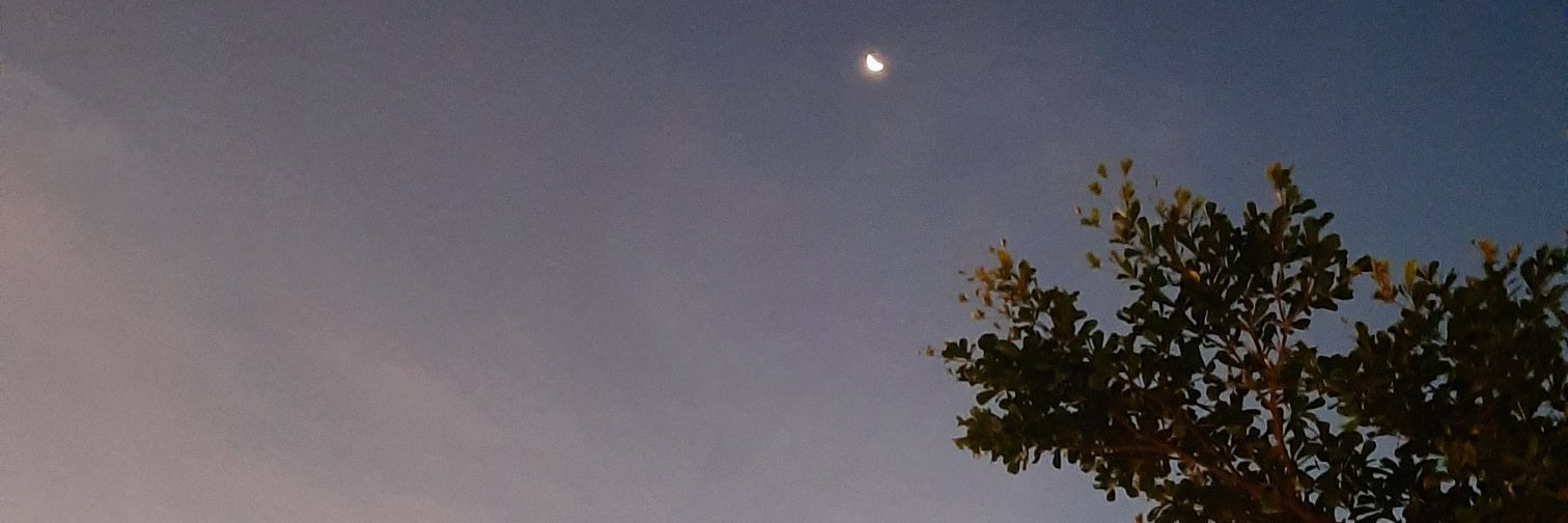 🌙 banner
