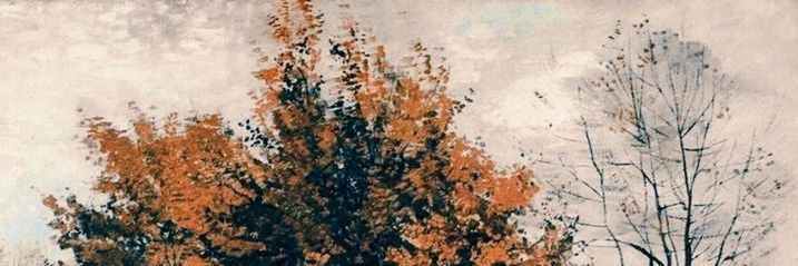 mourningdoved's profile banner image