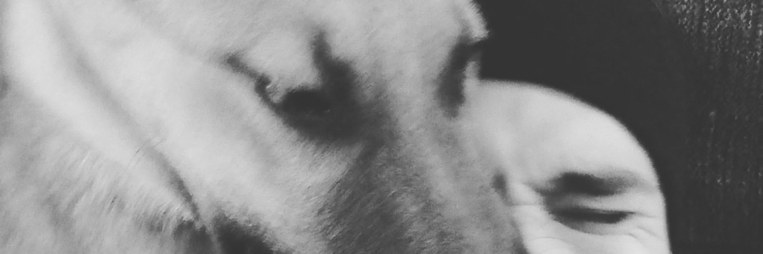 NicoColado1's profile banner image