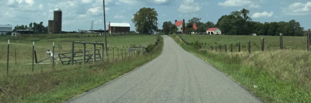 Pamela Stepko banner