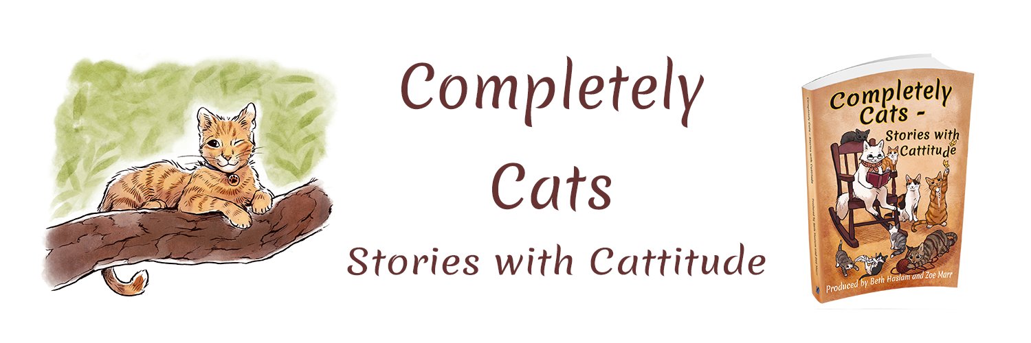 Completely_Cats's profile banner image