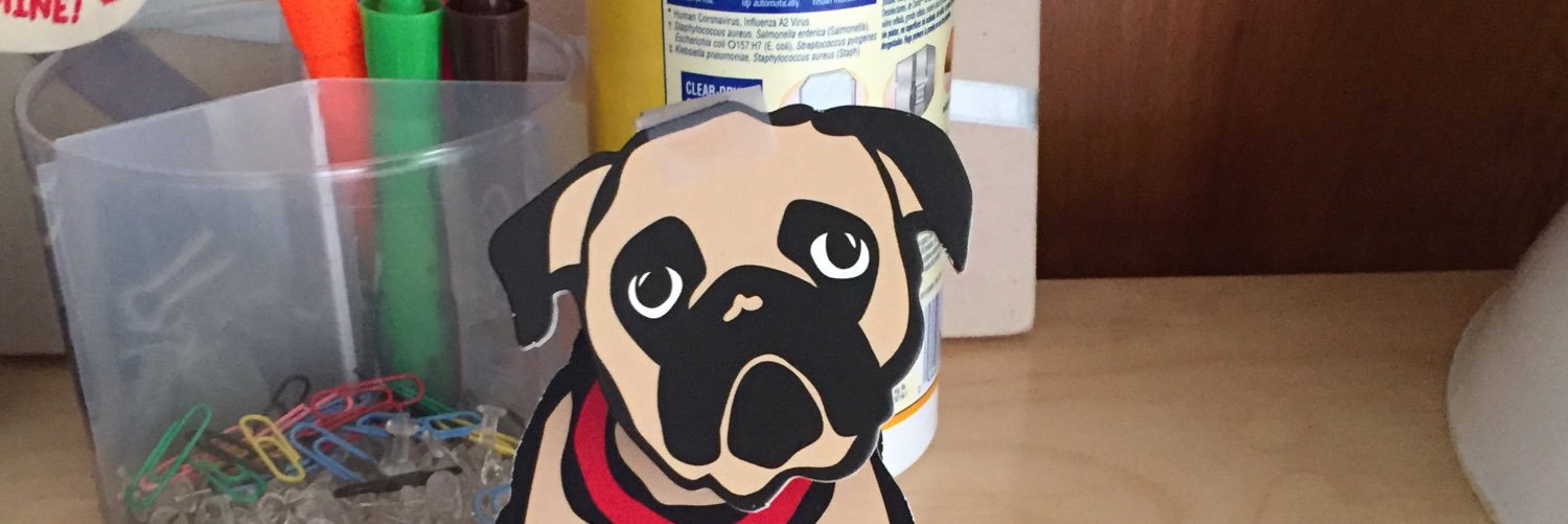 MrsPatelGrade5's profile banner image