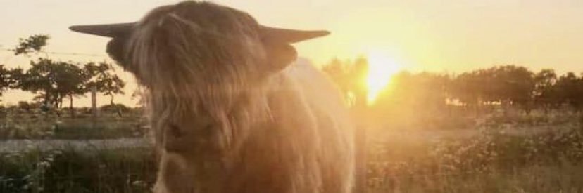 ChristineMcStr3's profile banner image