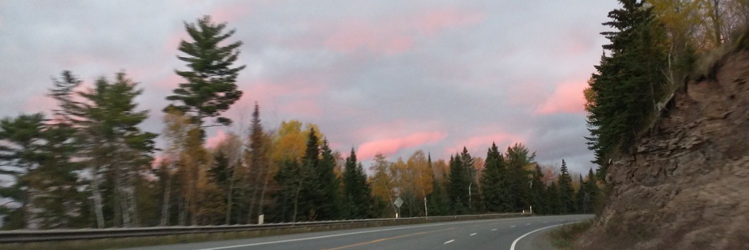 Viata_Chew 🪷 banner