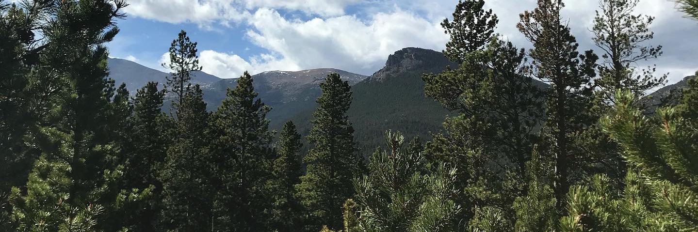 Austin Miller banner