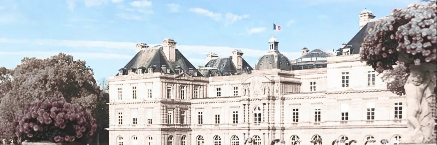 ℳaggie. banner