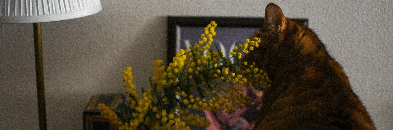 Nomi banner