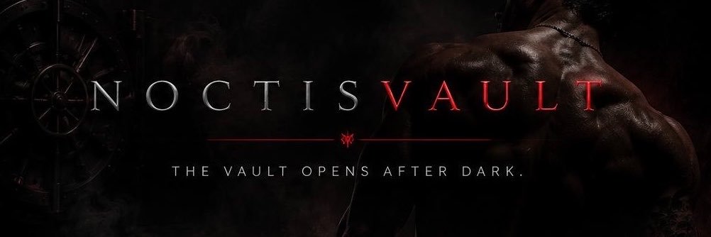 NoctisVault's profile banner image
