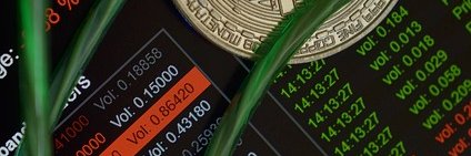 Alexander Gwen banner