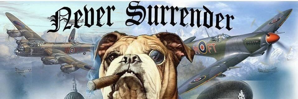 Angiemut's profile banner image