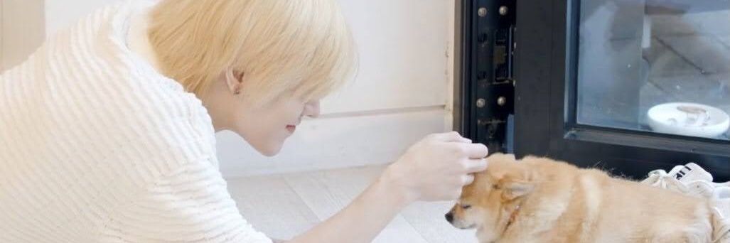yu10160307's profile banner image