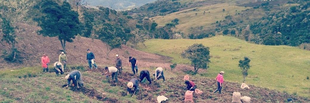 Cealdes - Centro de Alternativas al Desarrollo banner