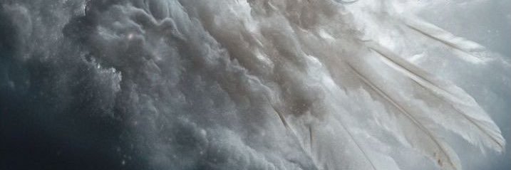 dayneabsil's profile banner image