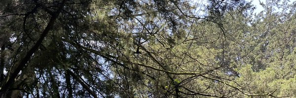 morraproletaria Profile Banner