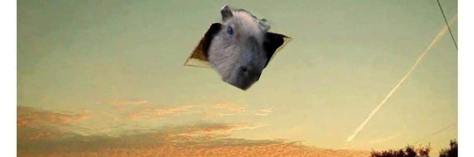 Zachd996's profile banner image
