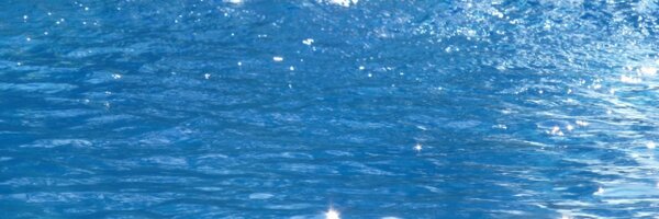 annelies Profile Banner