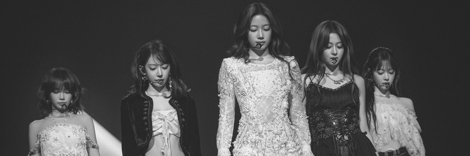 Stupid Cheese Cat 🐱 banner