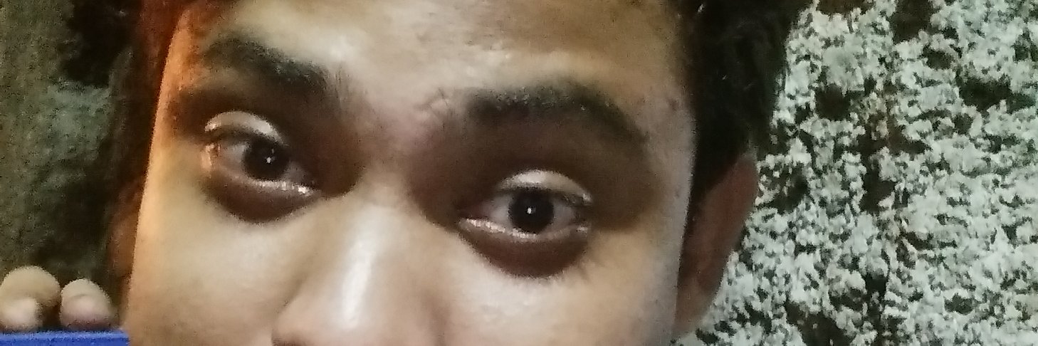 sarkarsanu73's profile banner image