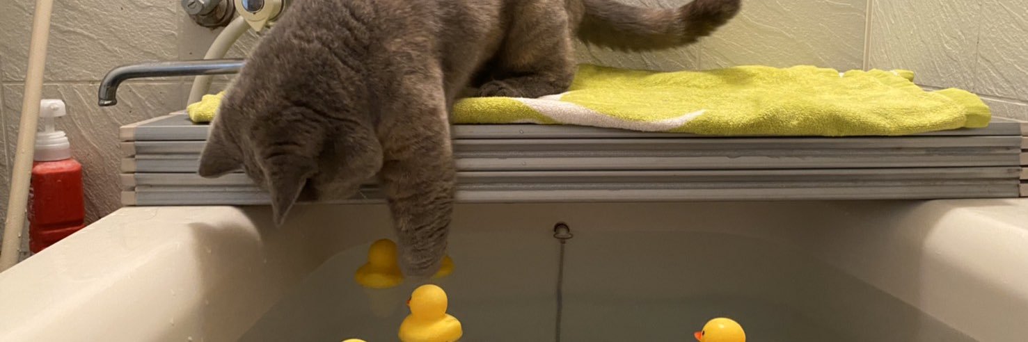 pua_7cat8's profile banner image