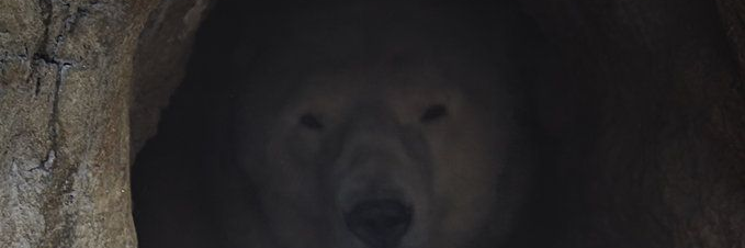 Kojox's profile banner image