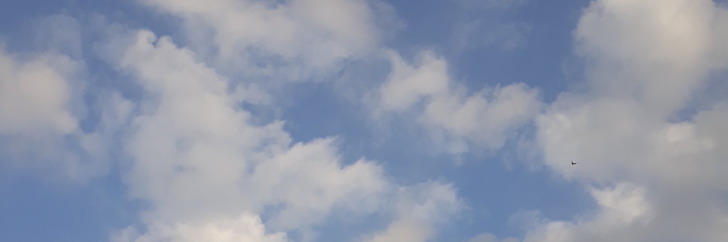 is banner