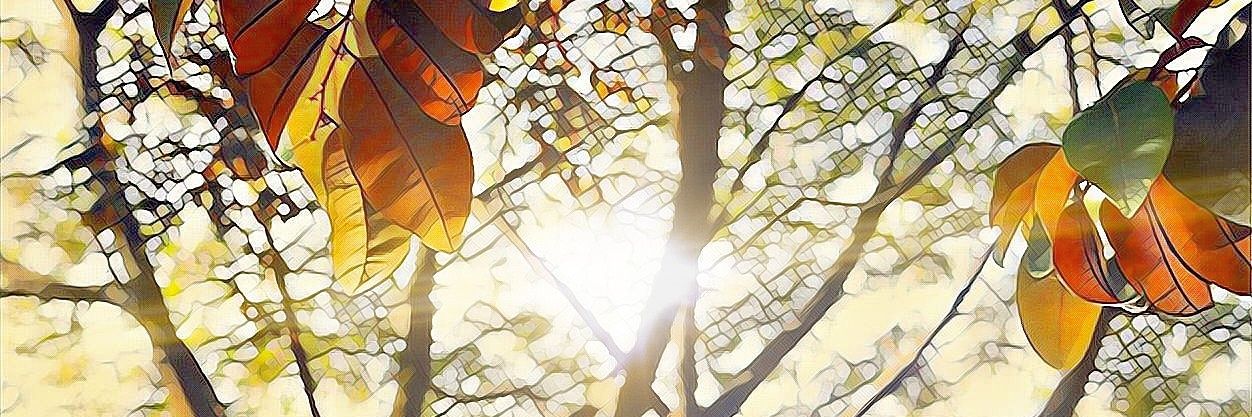 adjBo98's profile banner image