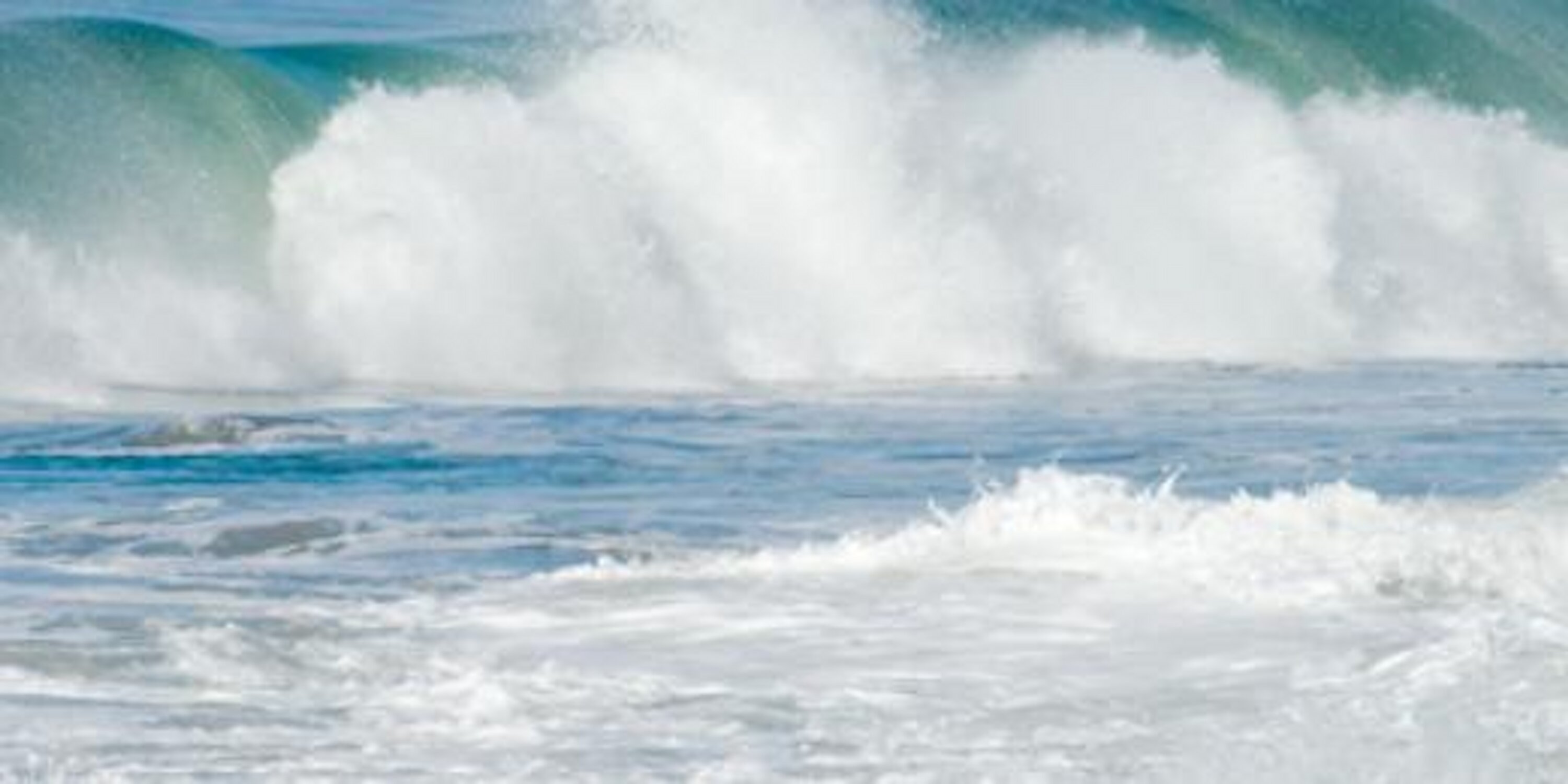 jaxbeachbuzz's profile banner image
