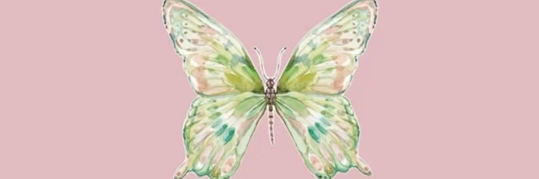 Phe ✧˖°..𖥔 ݁ ˖⋆.°🦋༘⋆ banner