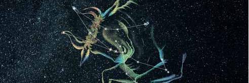 Taurus banner