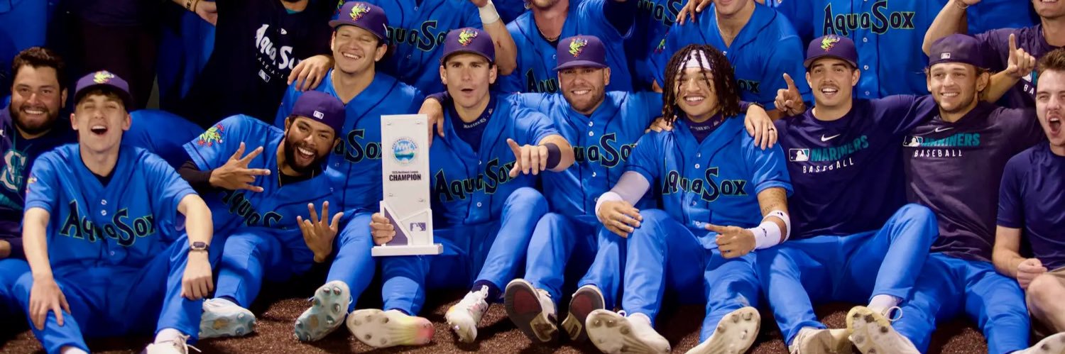 Mariners Minors banner