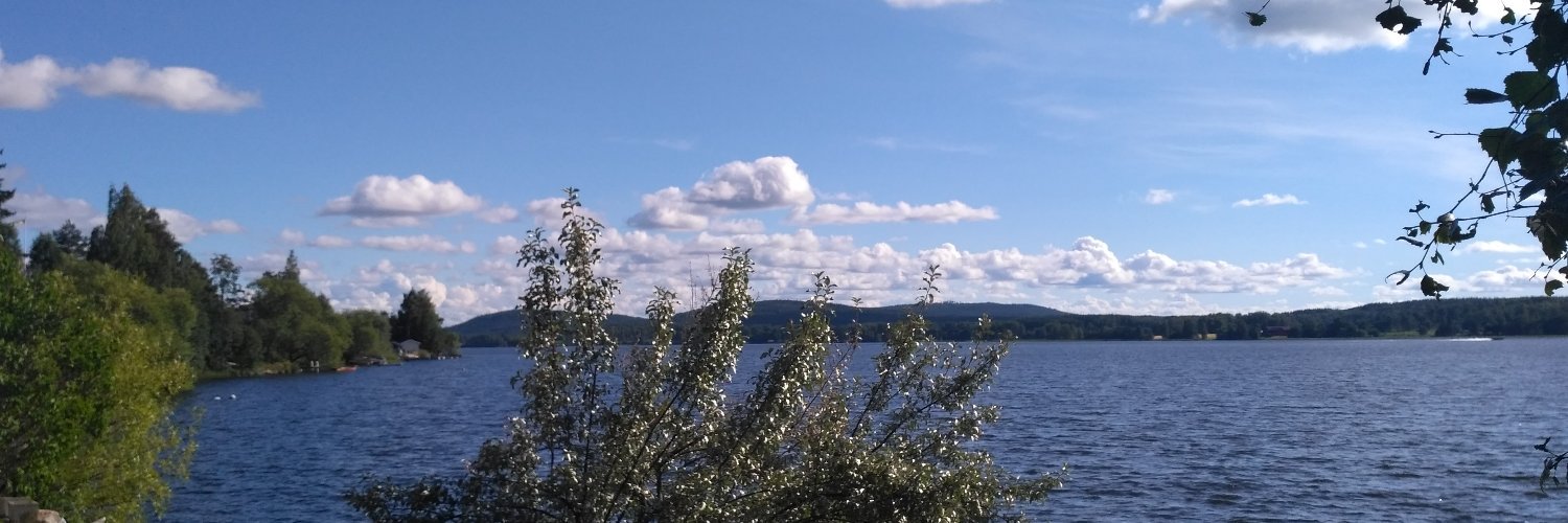 Acostard's profile banner image