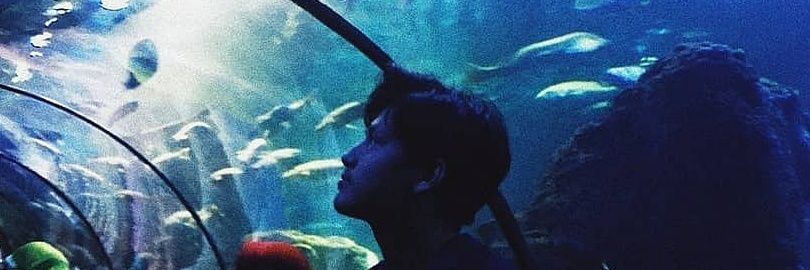 Insanfaizin's profile banner image