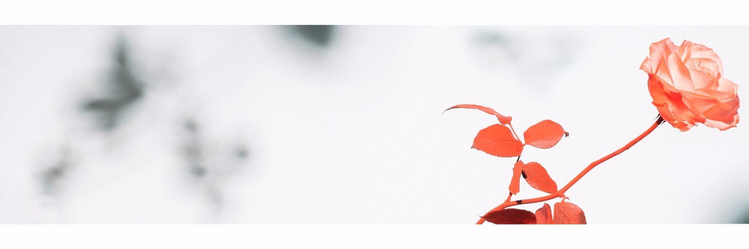 ConnorFrantaIa's profile banner image