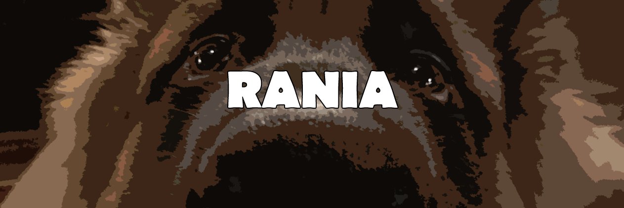Rania // underflowR banner