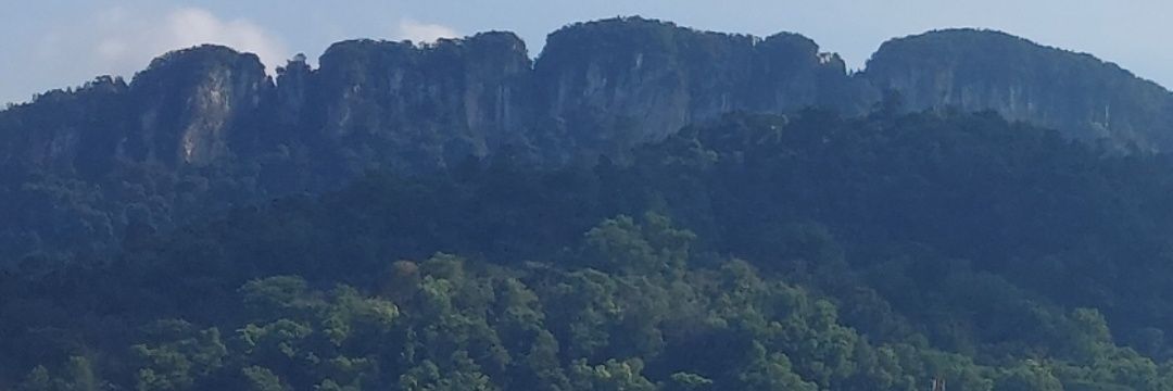 aulrmp4's profile banner image