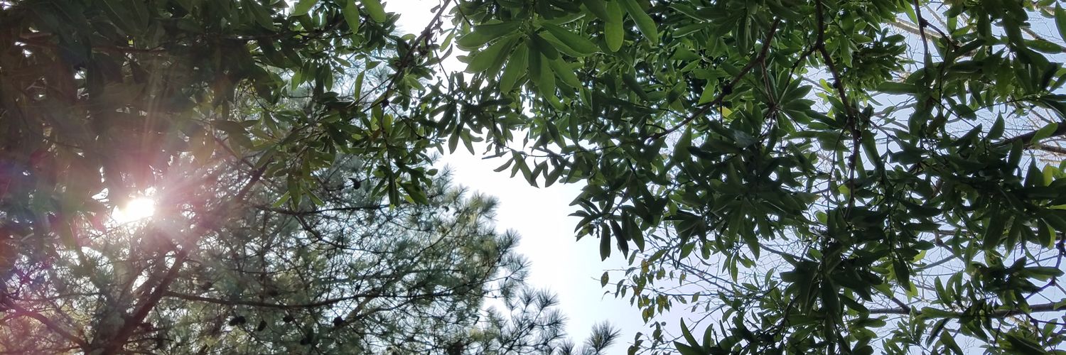 ruu511ma's profile banner image