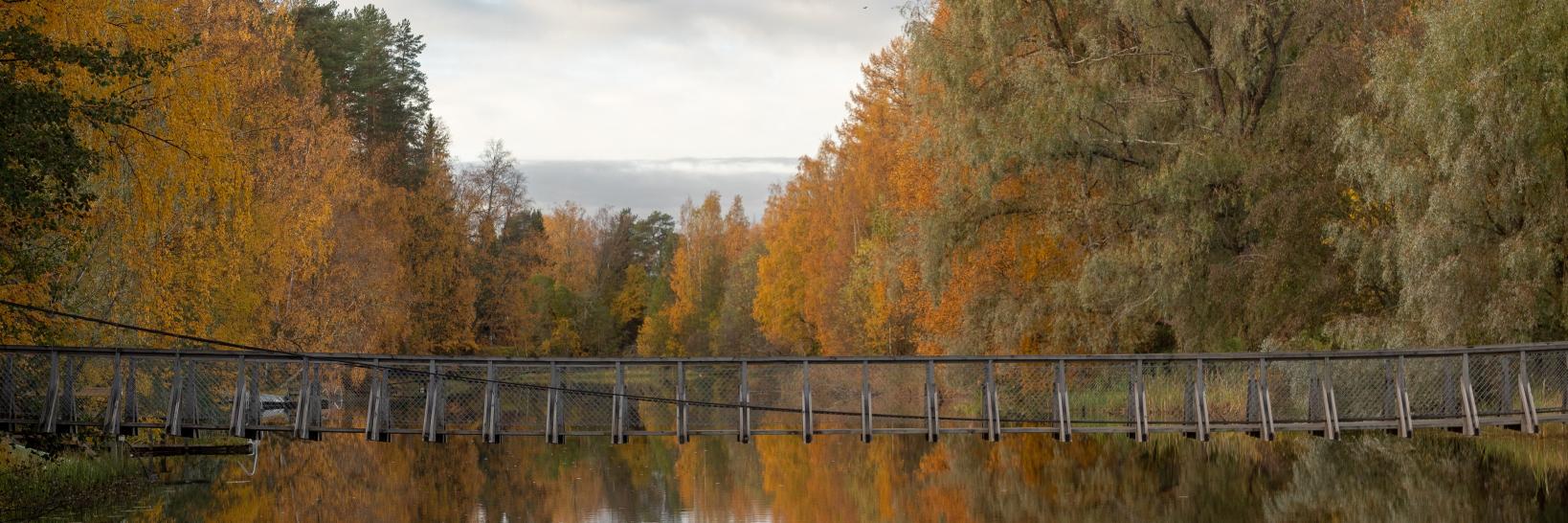 Hartolan kunta banner