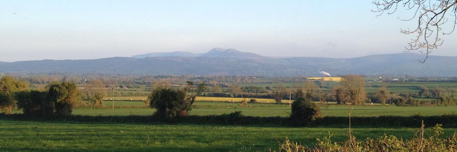 clonmelproperty's profile banner image