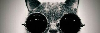 oggy_oss's profile banner image