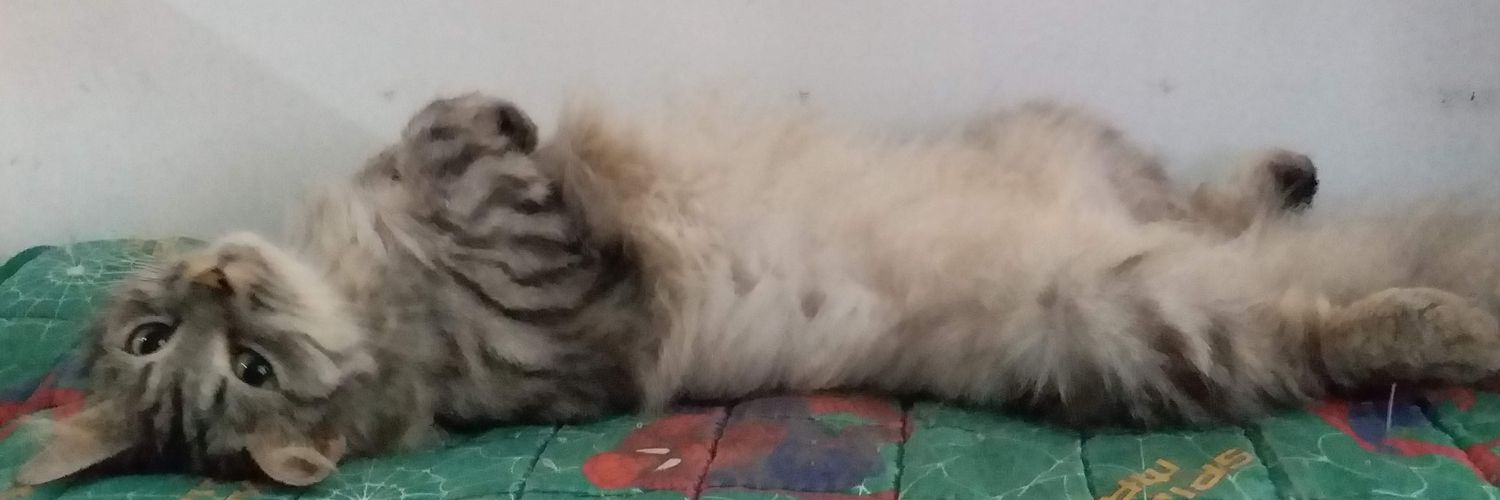 macdoodly's profile banner image