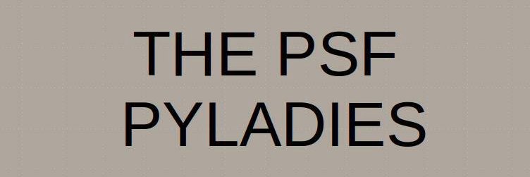 PyLadies Delhi banner