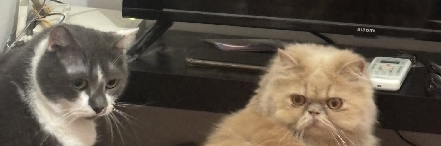percypenyet's profile banner image