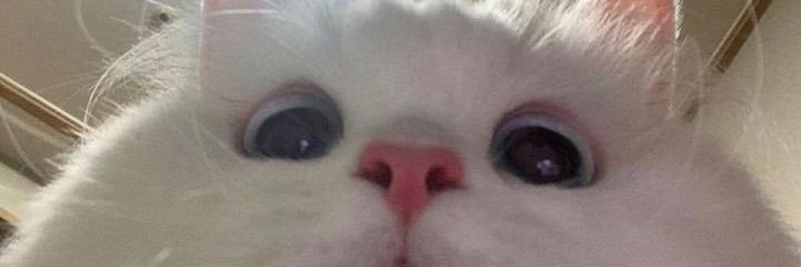 Dewiraae's profile banner image