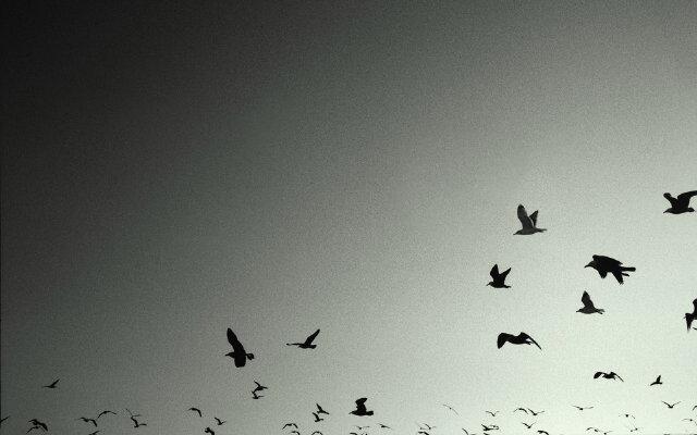 RizkyIsml's profile banner image