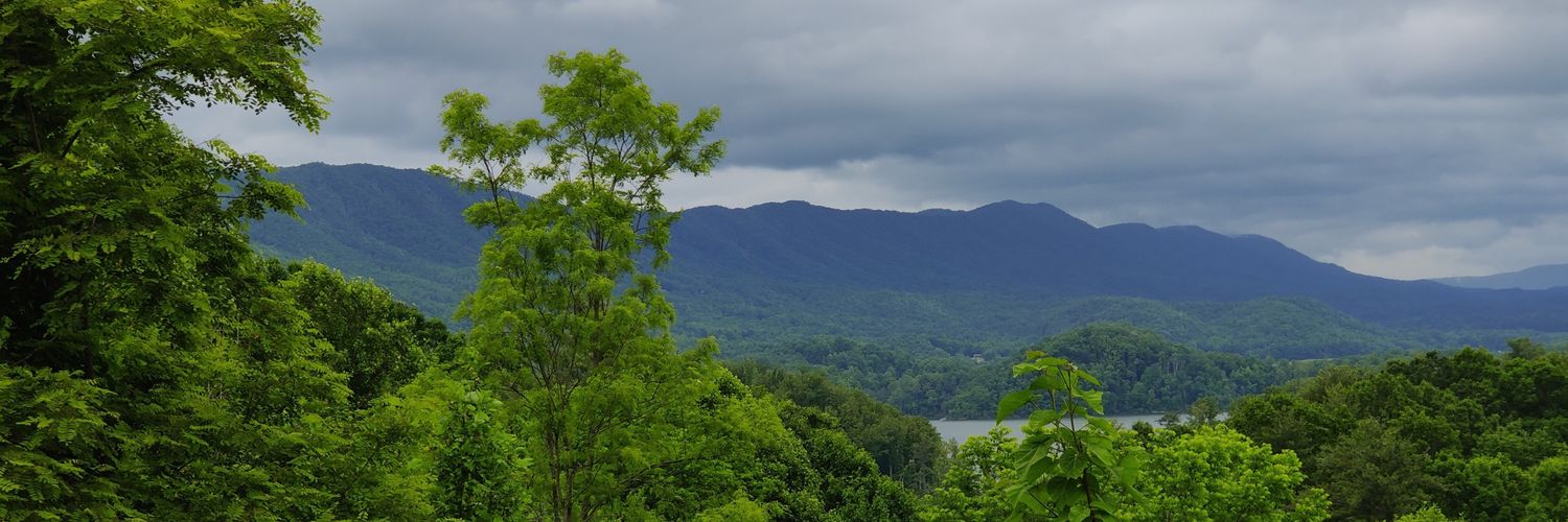 Yancey Foster banner