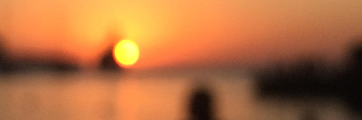 ⭕️Joanna Sullivan banner